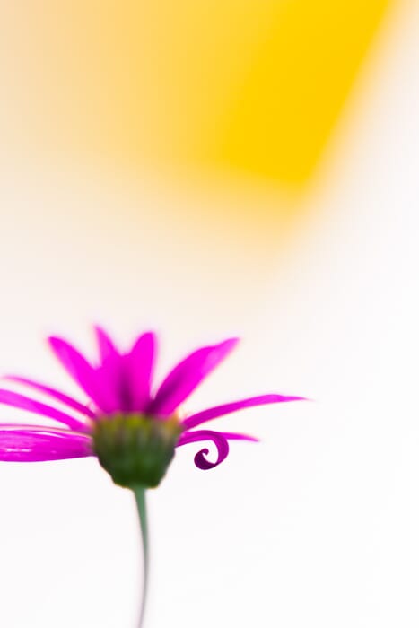 Rule of thirds example