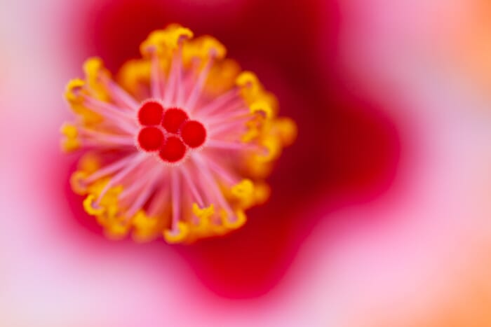 Focus on details