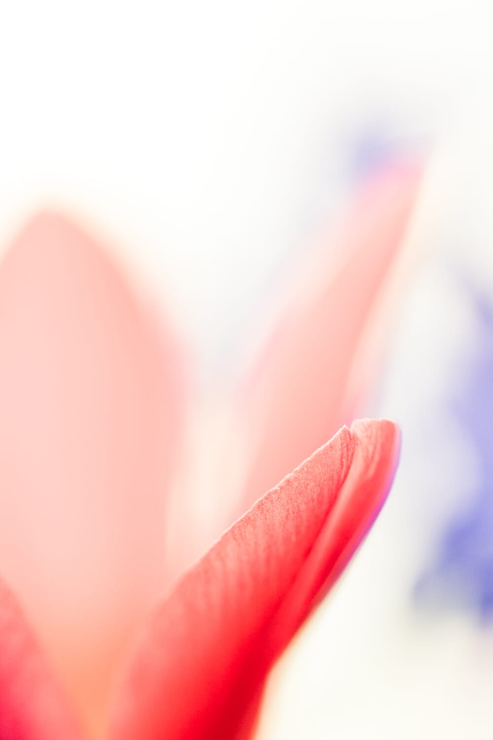 Edit your photos to enhance them
