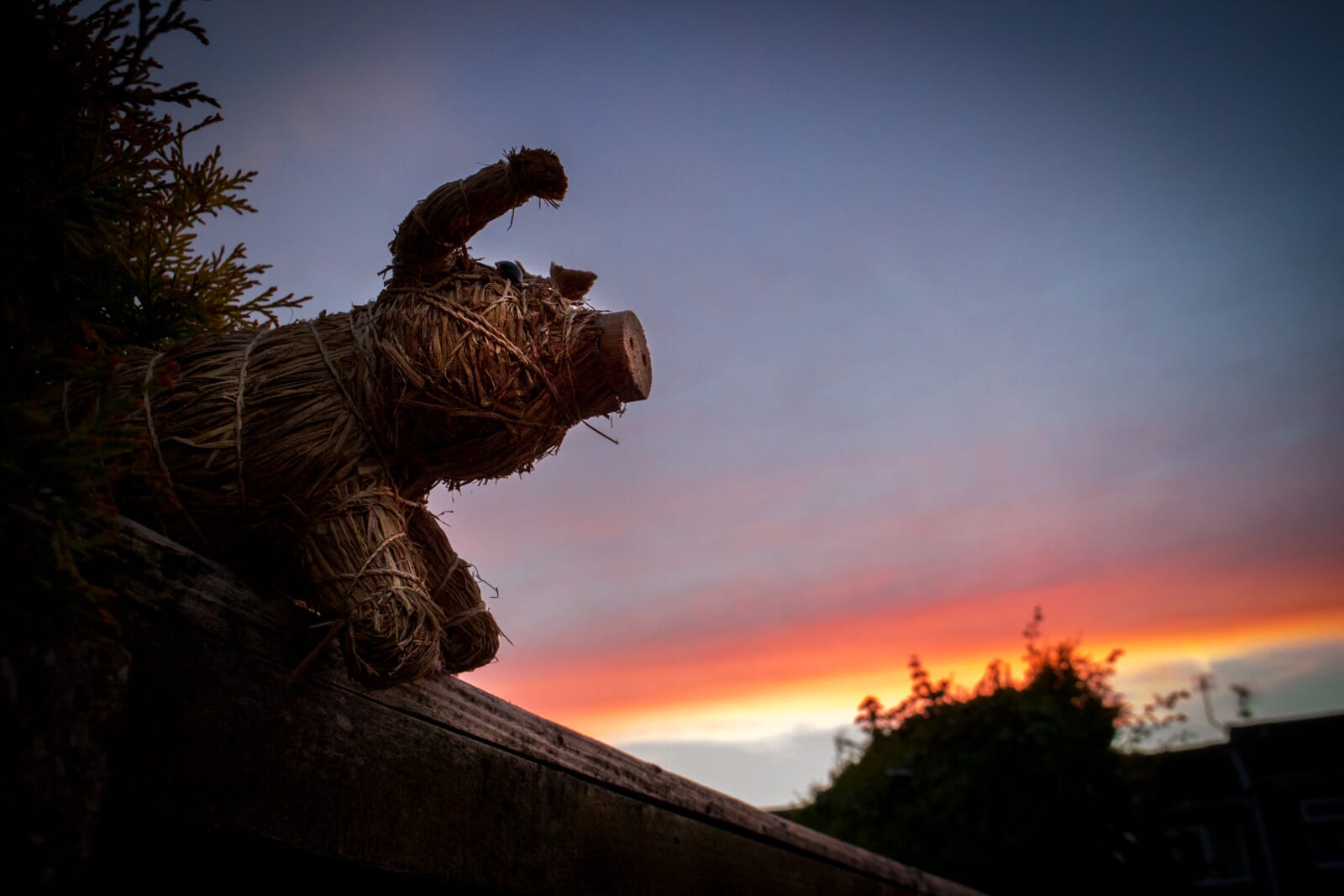 GardenPhotographyTips 10