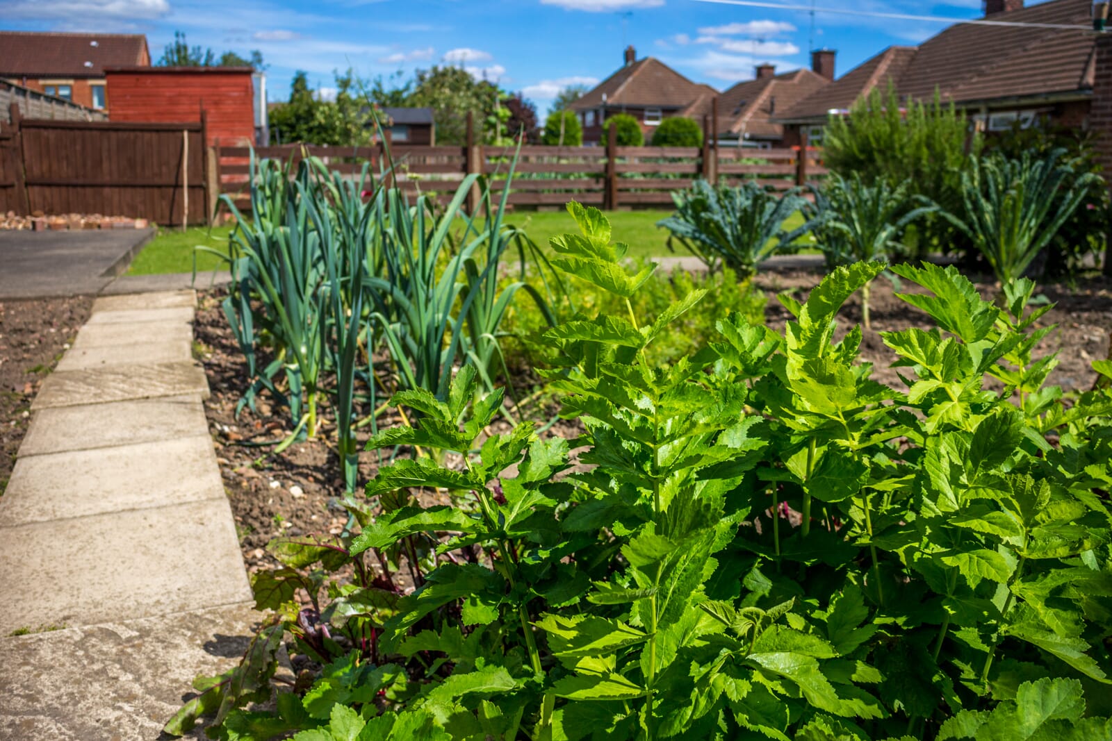 GardenPhotographyTips 7