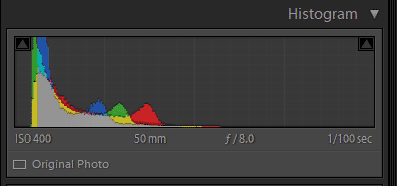 dark tones in image