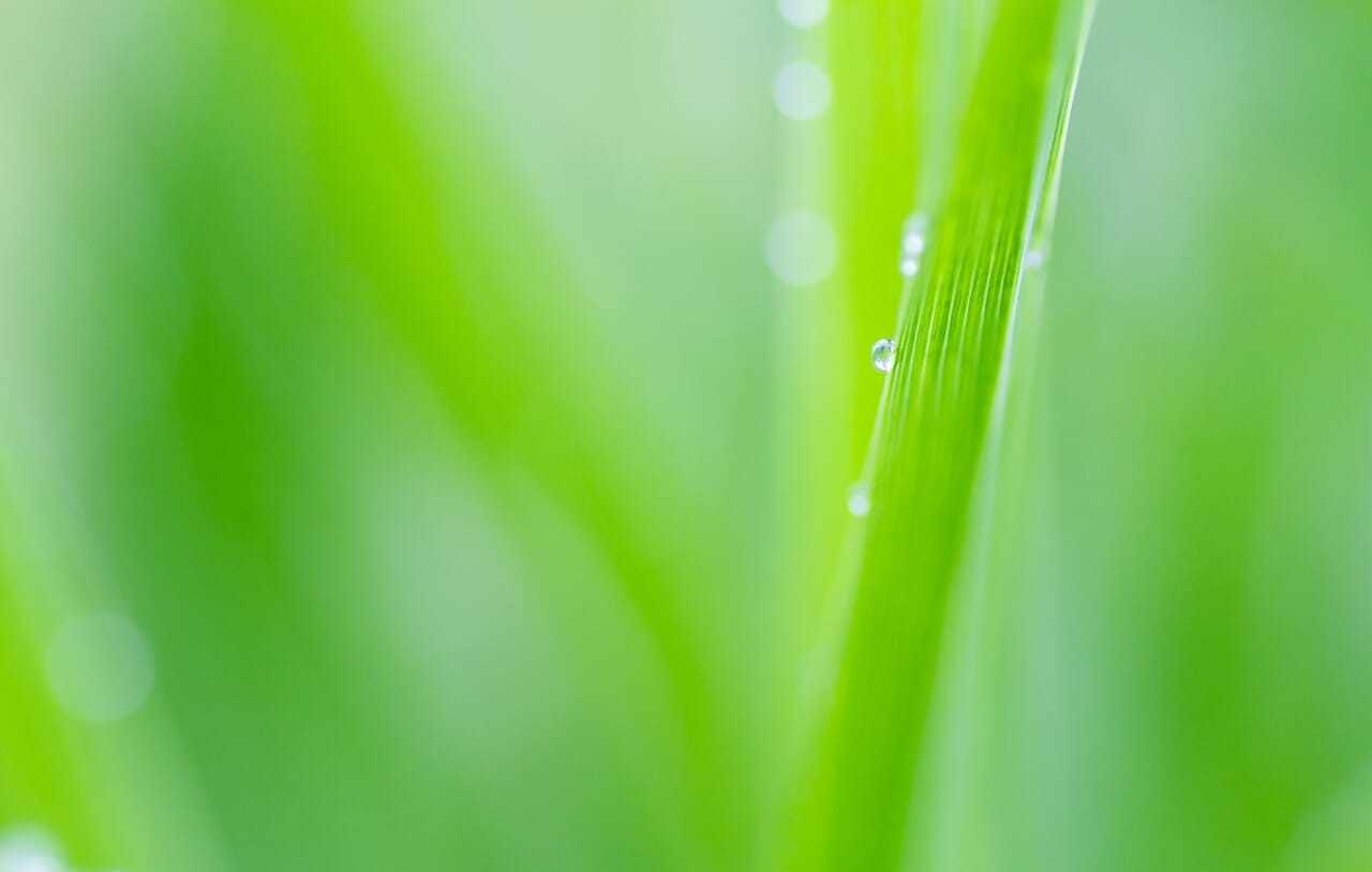 Shallow depth of field is your friend!