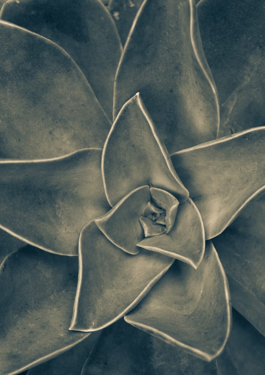 I took this photo at my local produce station!