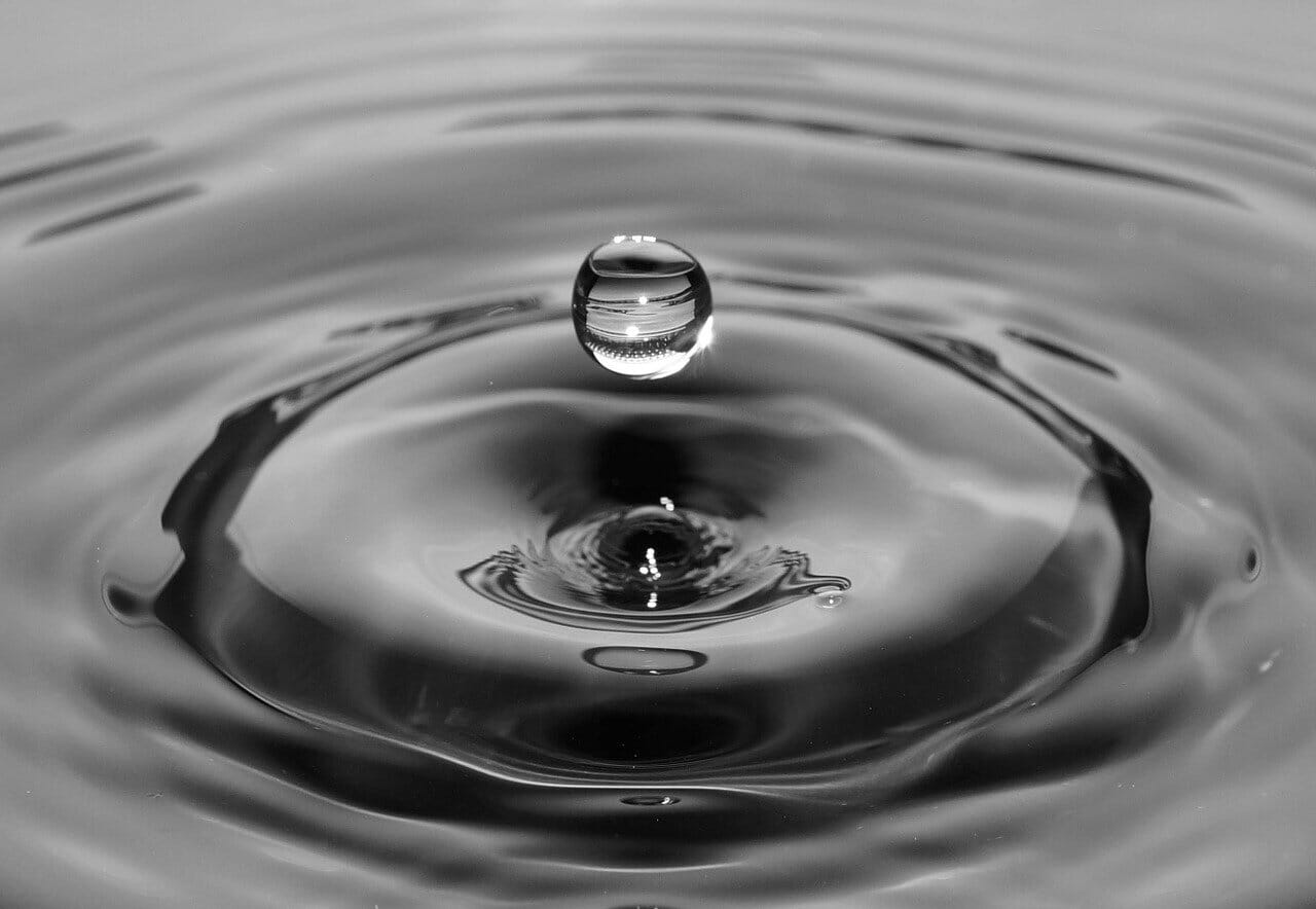 water droplets indoor macro photography
