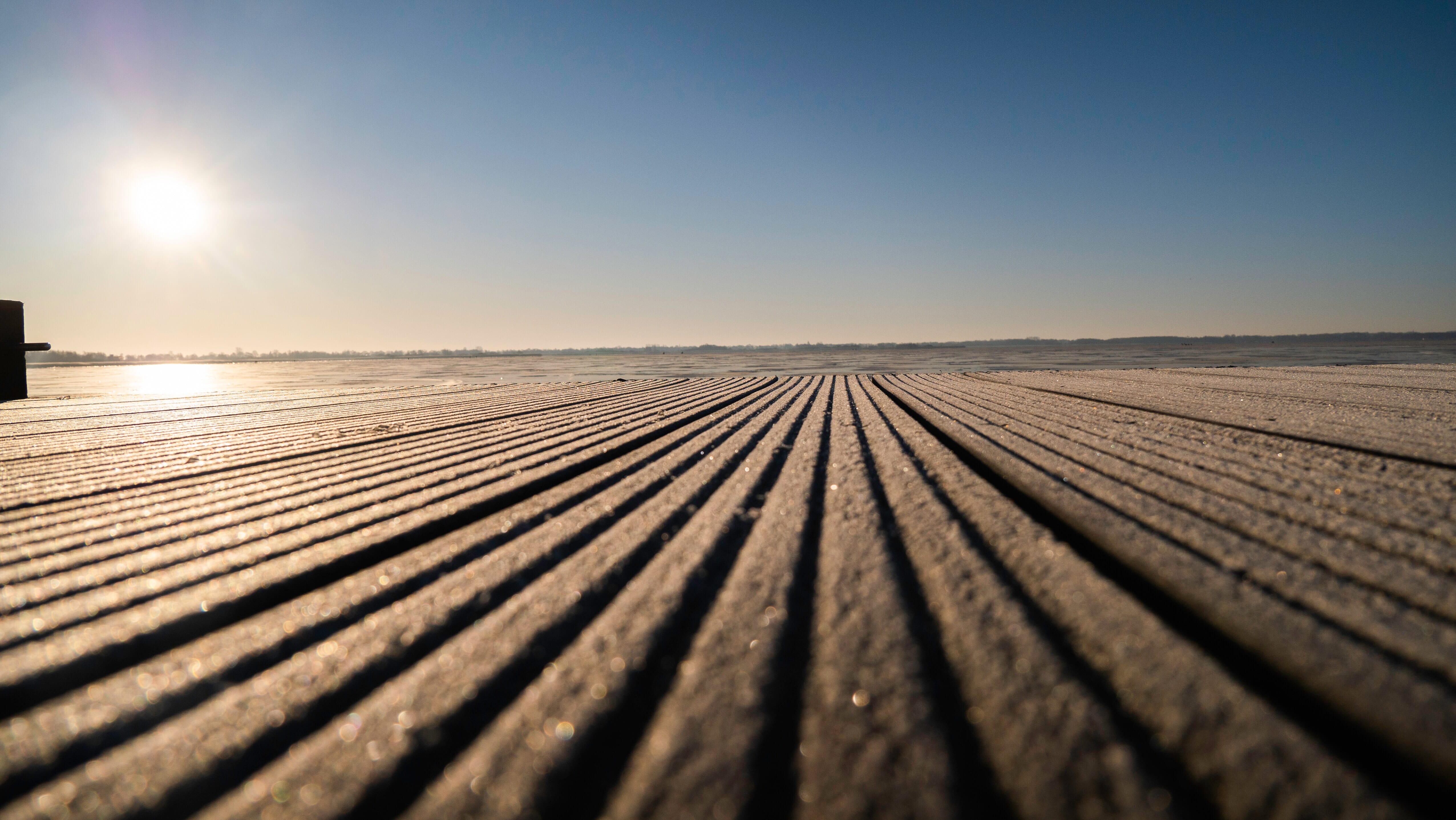 lines in a field