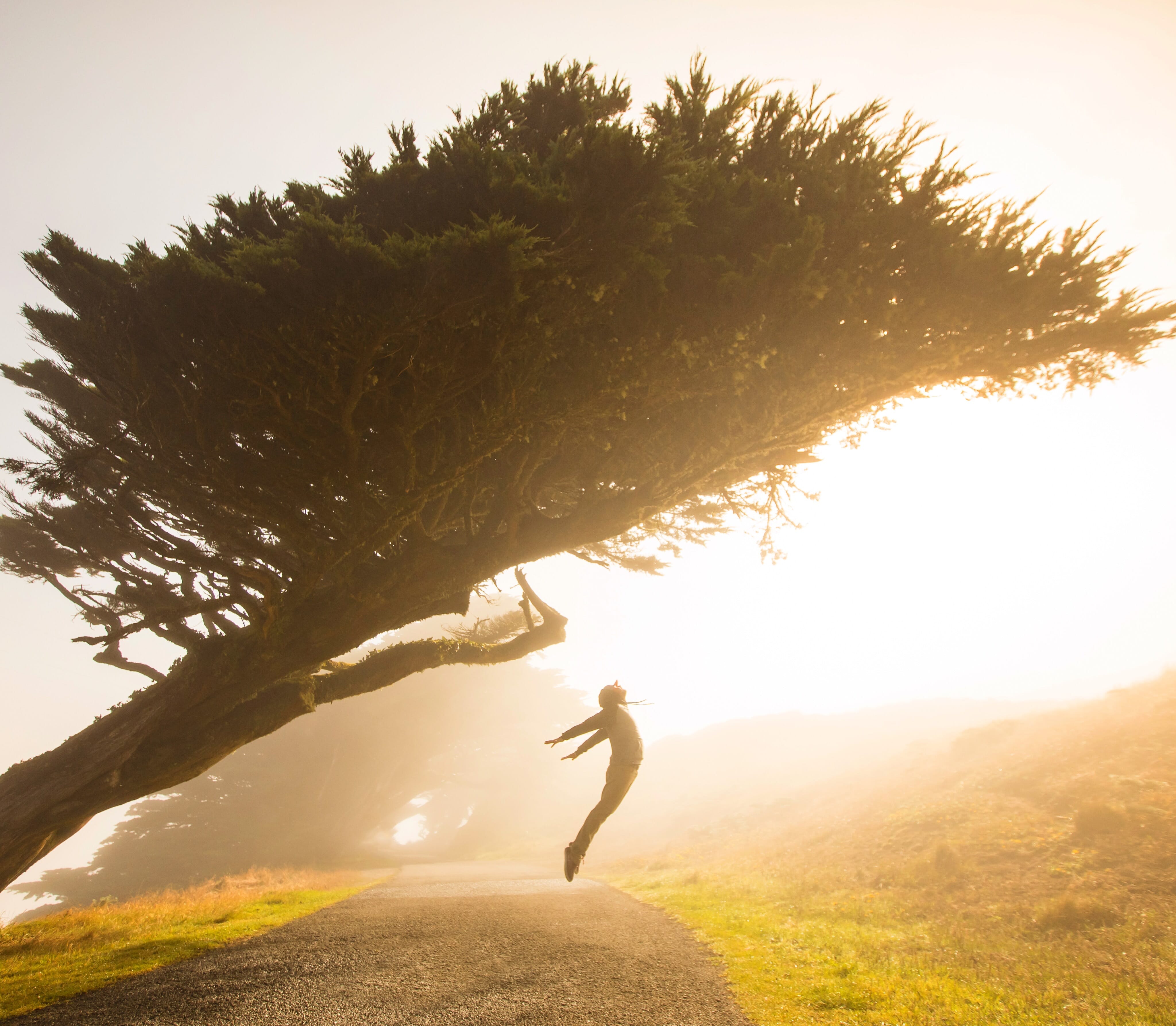 Using the light to turn your subjects into silhouettes is another effective way to highlight levitation. We love the way this model is framed between the ground and the trees