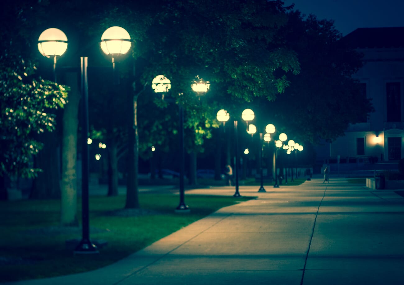 Fast shutter speed eliminating camera shake in low light