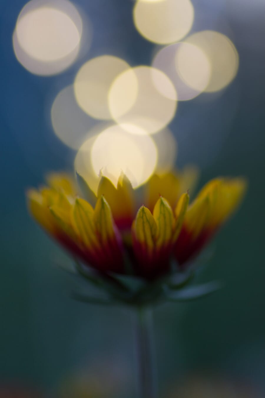 Camera with in-body image stabilization for low light