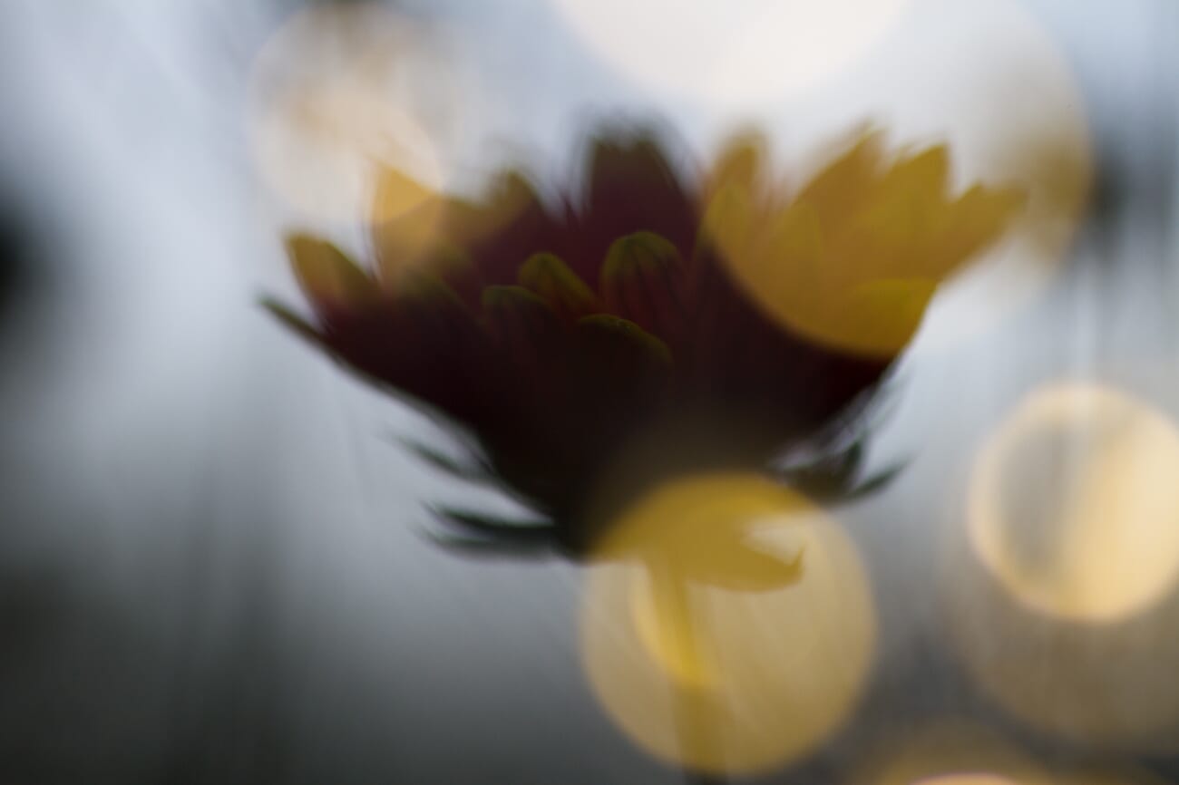 Creamy bokeh background from wide aperture in low light