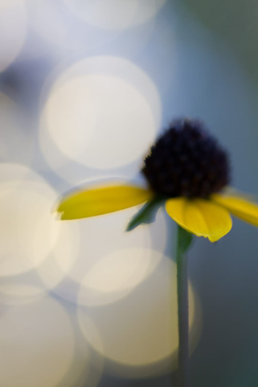Photographer using proper technique to avoid camera shake
