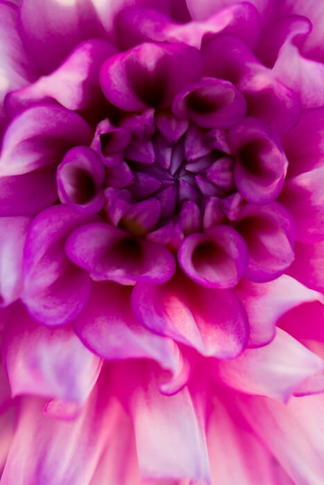 Sharp close up focus shot