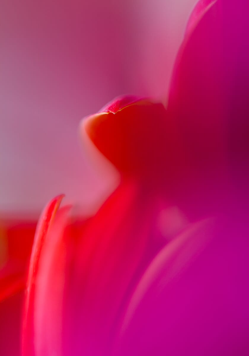 manual focus vs autofocus 20
