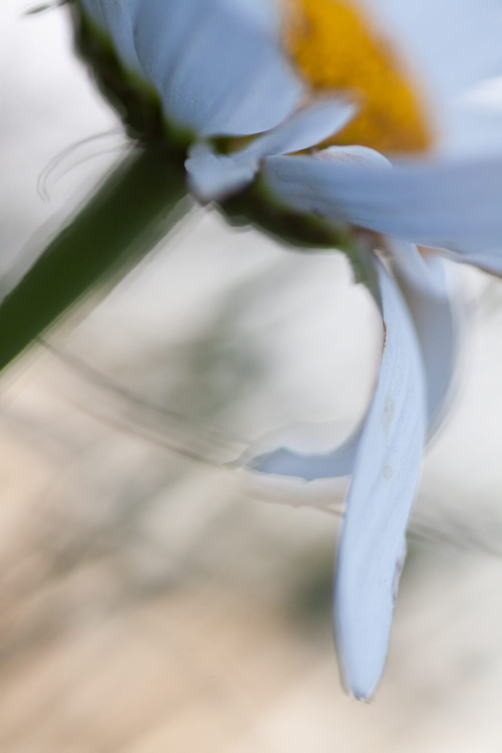 manual focus 3