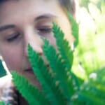 Metering Modes: An Ultimate Guide to Your Camera's Meter