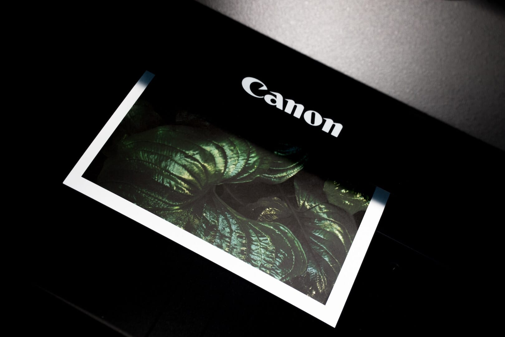 A wireless printer means you can print important documents along with your photographs from the comfort of your own home.