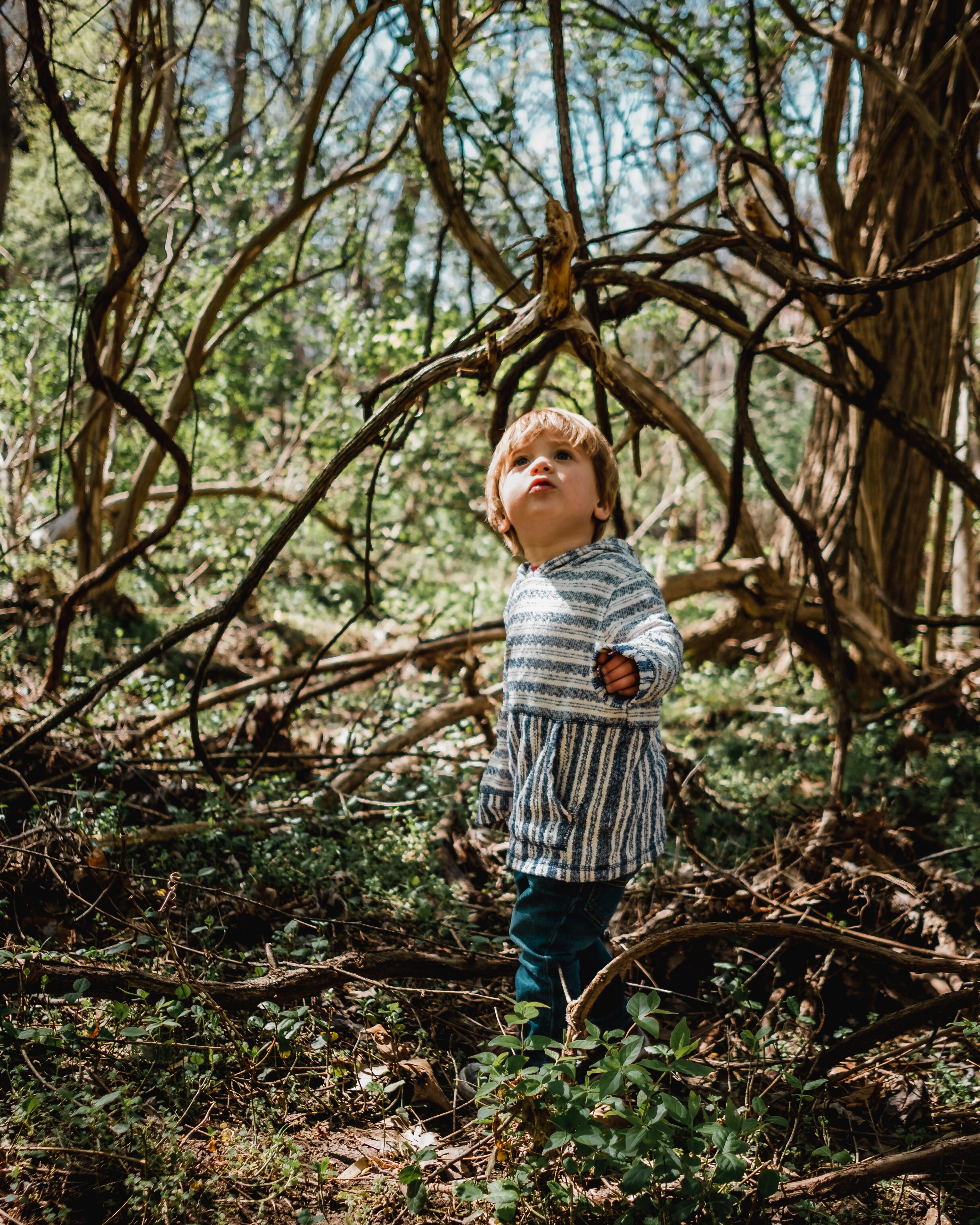  This road has been shot low-down which makes it appear longer and stretched out Children are natural explorers, it's important that they foster this exploration attitude with their photography too.