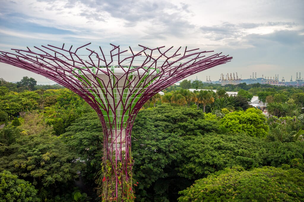  The mechanical tree creates a central focal point for this photo 