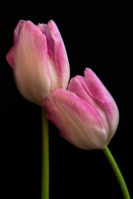 Editing can really enhance your images.