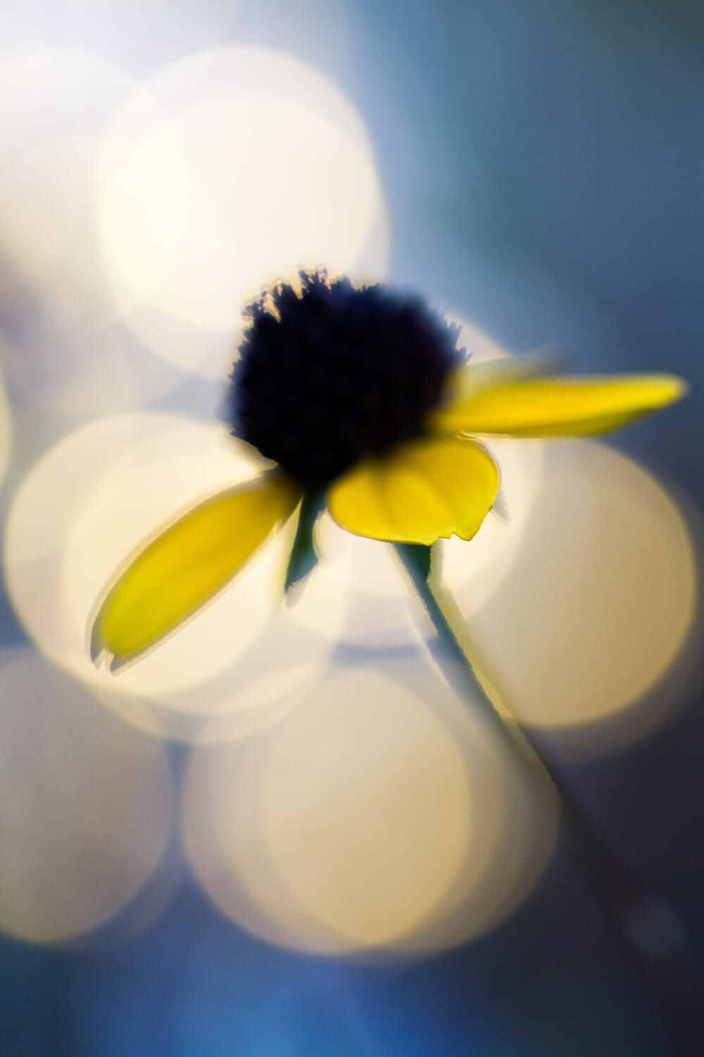A beginner photography tip, that doesn't even require you to leave the house, is to look at other photographers work.