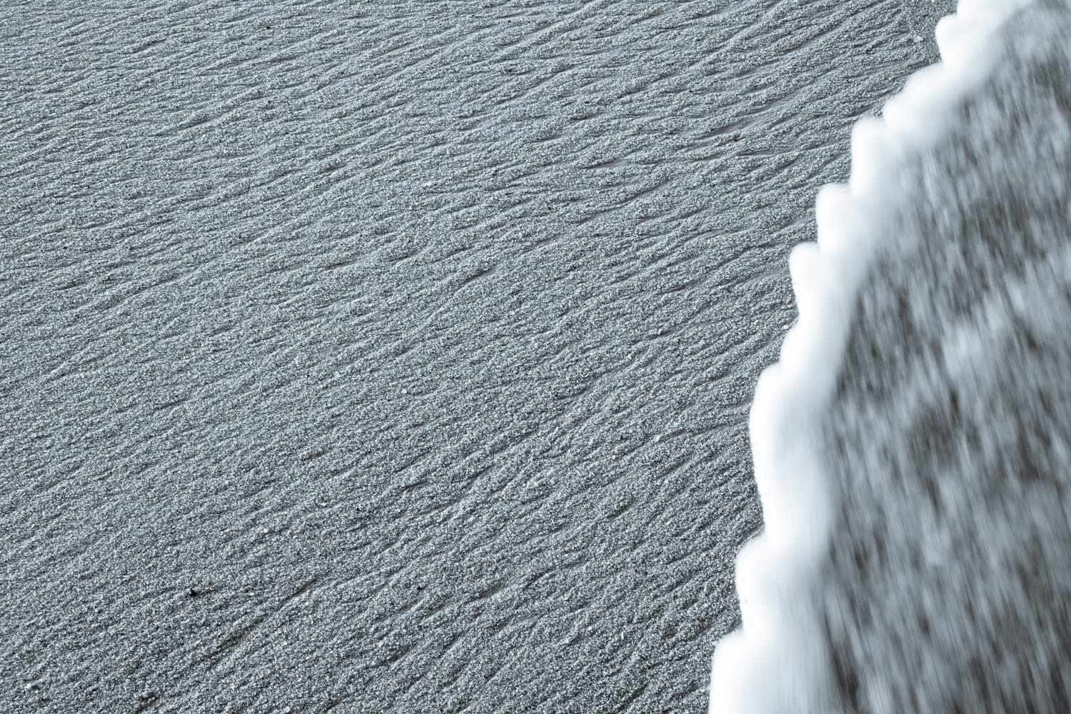 sharp images 11