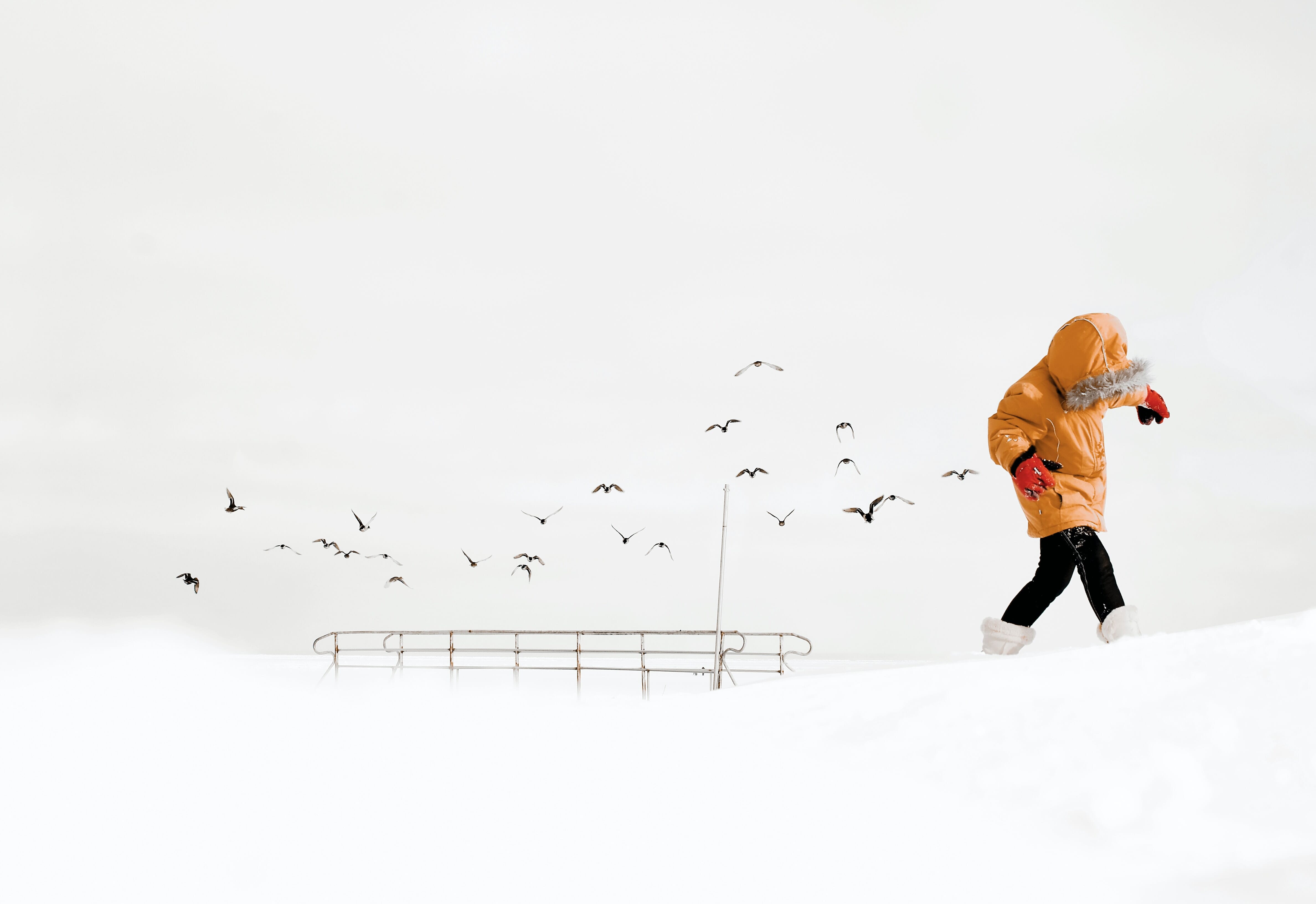 child in the snow