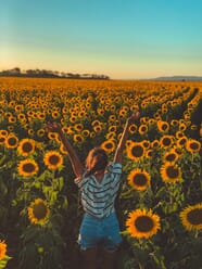 Sunflower Field Photoshoot Ideas And Tips for Stunning Results 