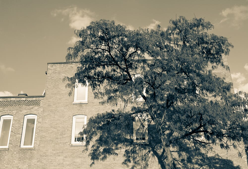 tilt shift lens 2