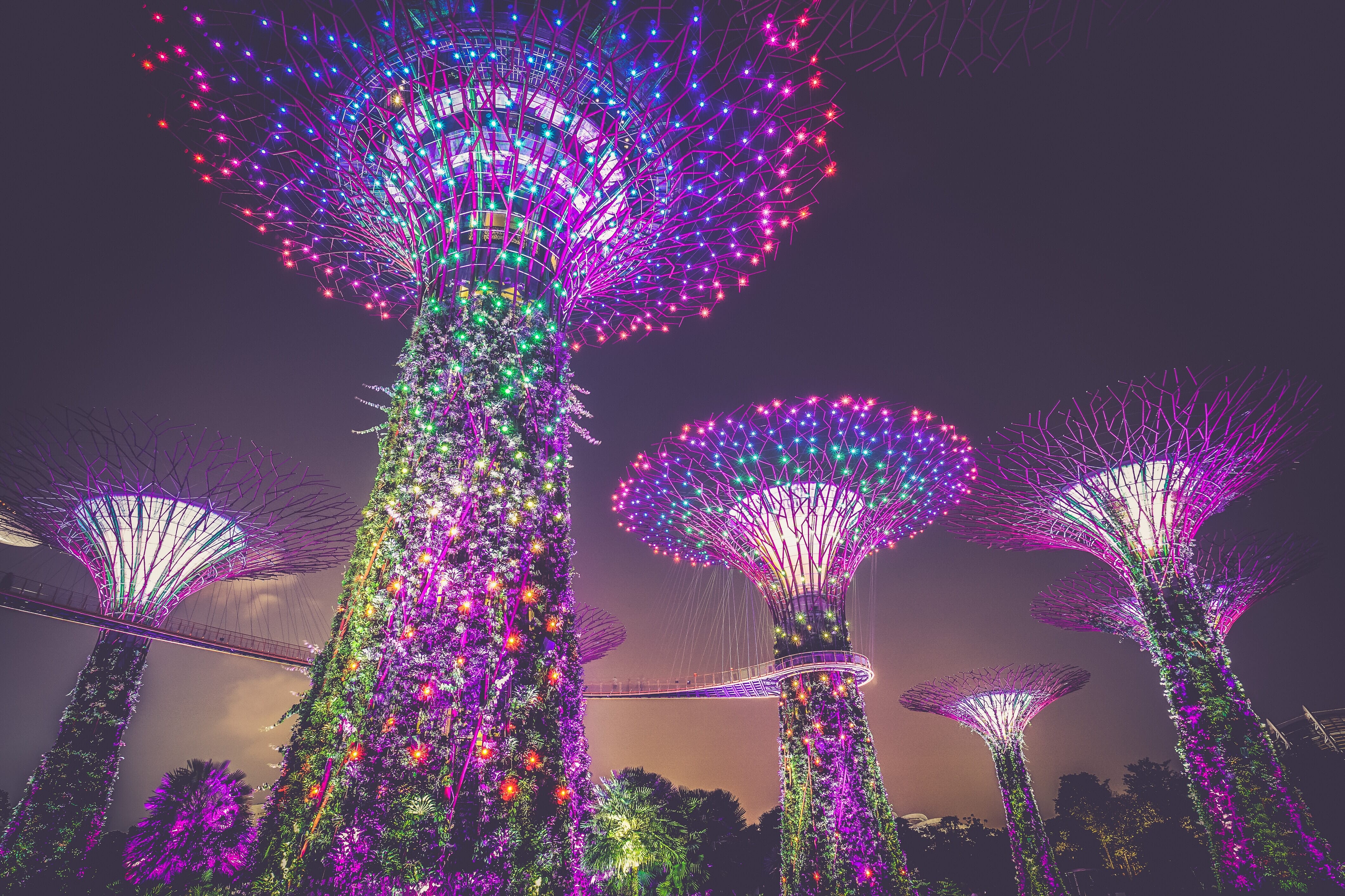 Gardens by the Bay nature park supertrees with blue, purple, and red lights stretching upward toward the sky at night.