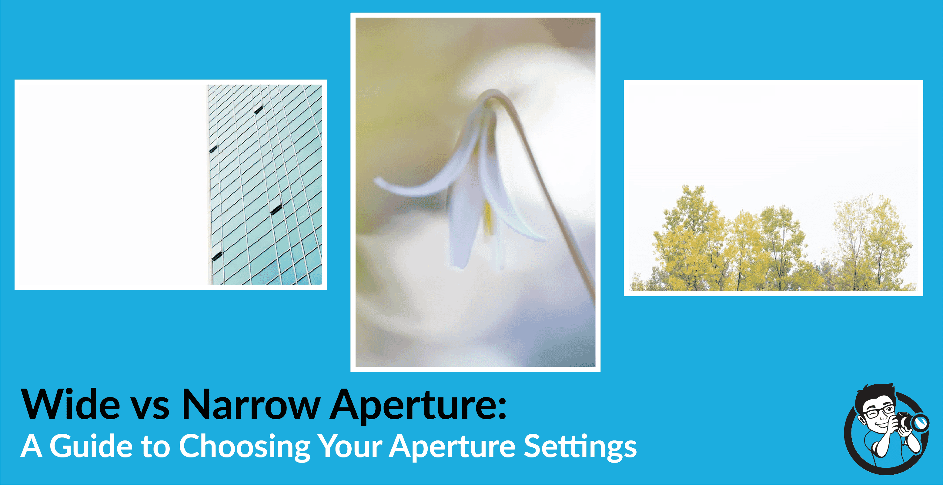 Wide vs Narrow Aperture A Guide to Choosing the Right Aperture