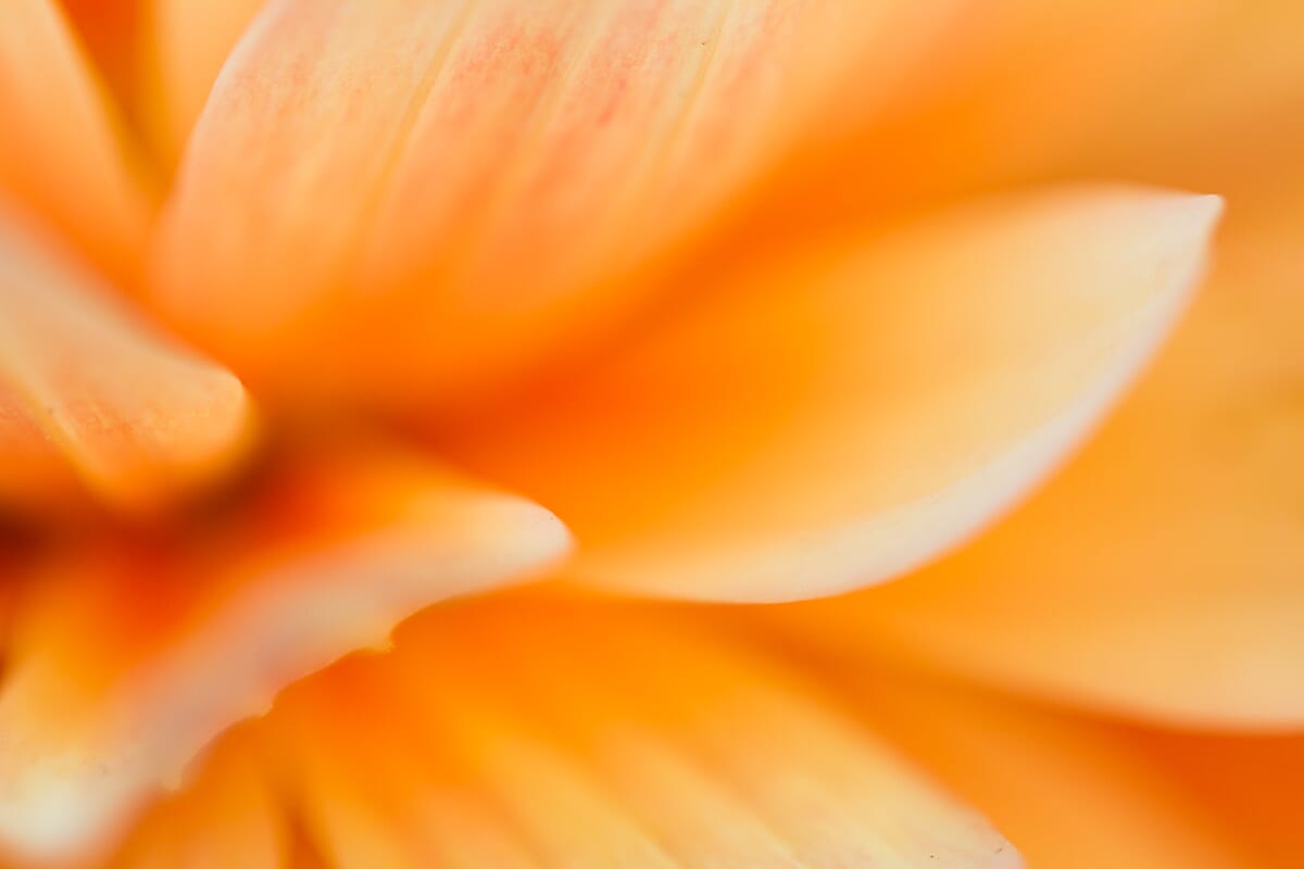 abstract photograph