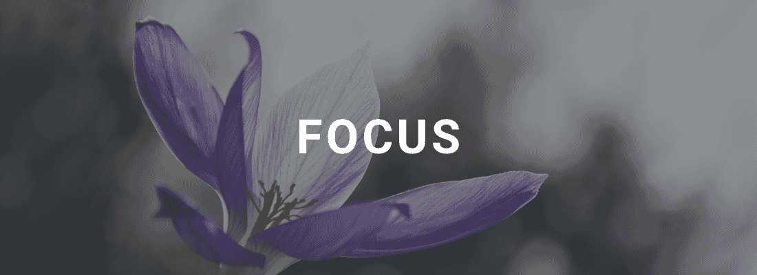 focus in photography
