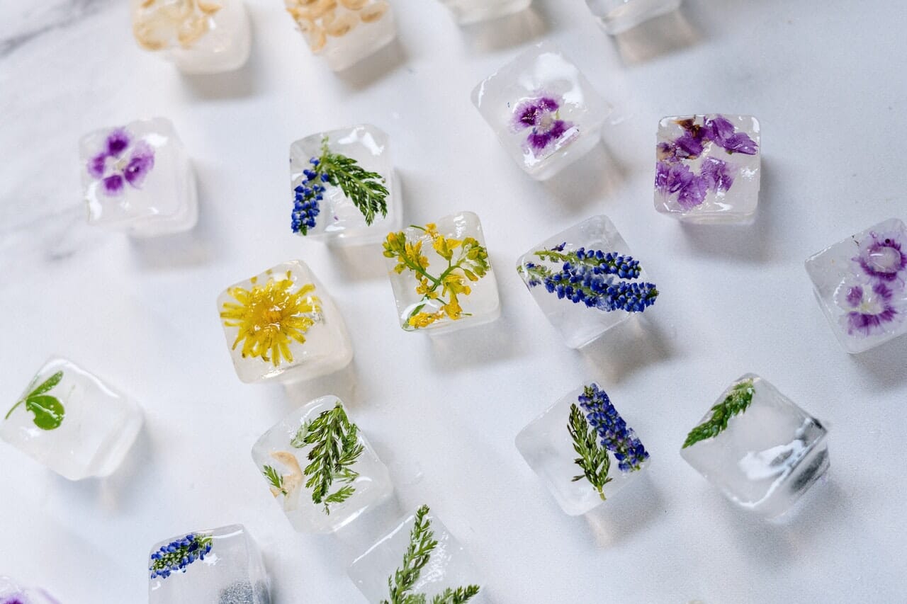 Flowers frozen in ice cubes