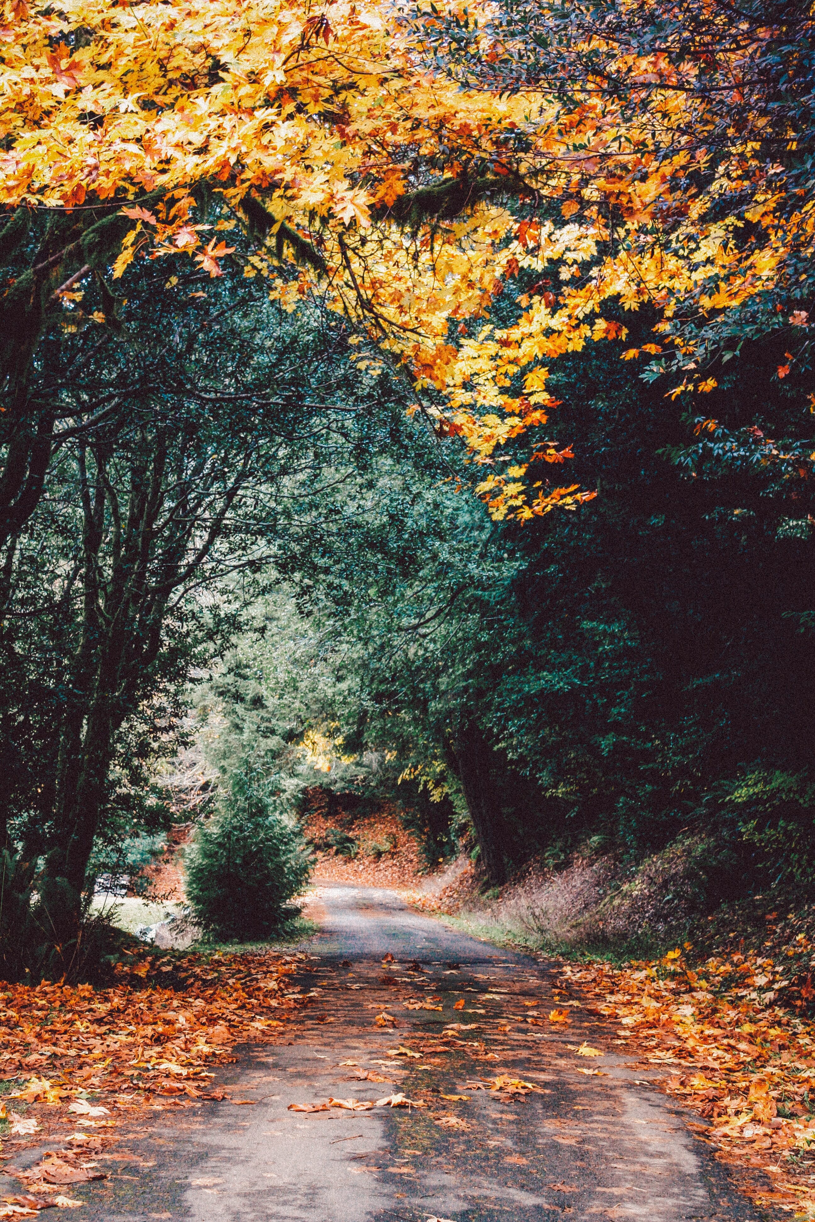 Nature photography is a great way of focusing on the natural beauties of the season.