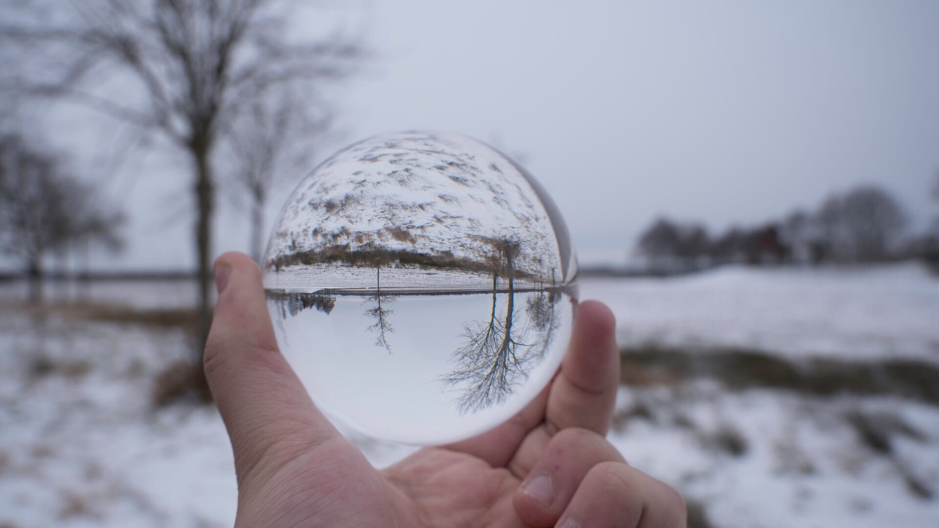 Reflective Mirror Ball Photography Prop - Prop Face