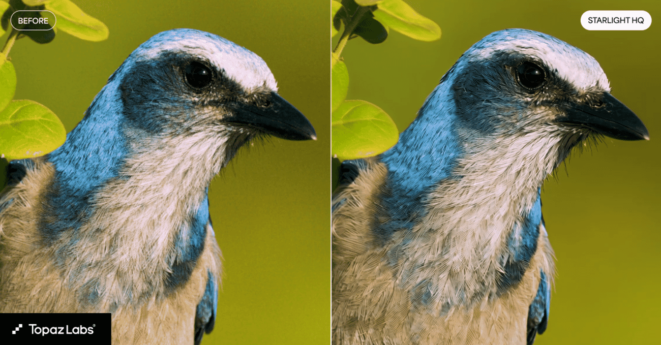 Starlight HQ Local upscaling example showing sharp detail balance