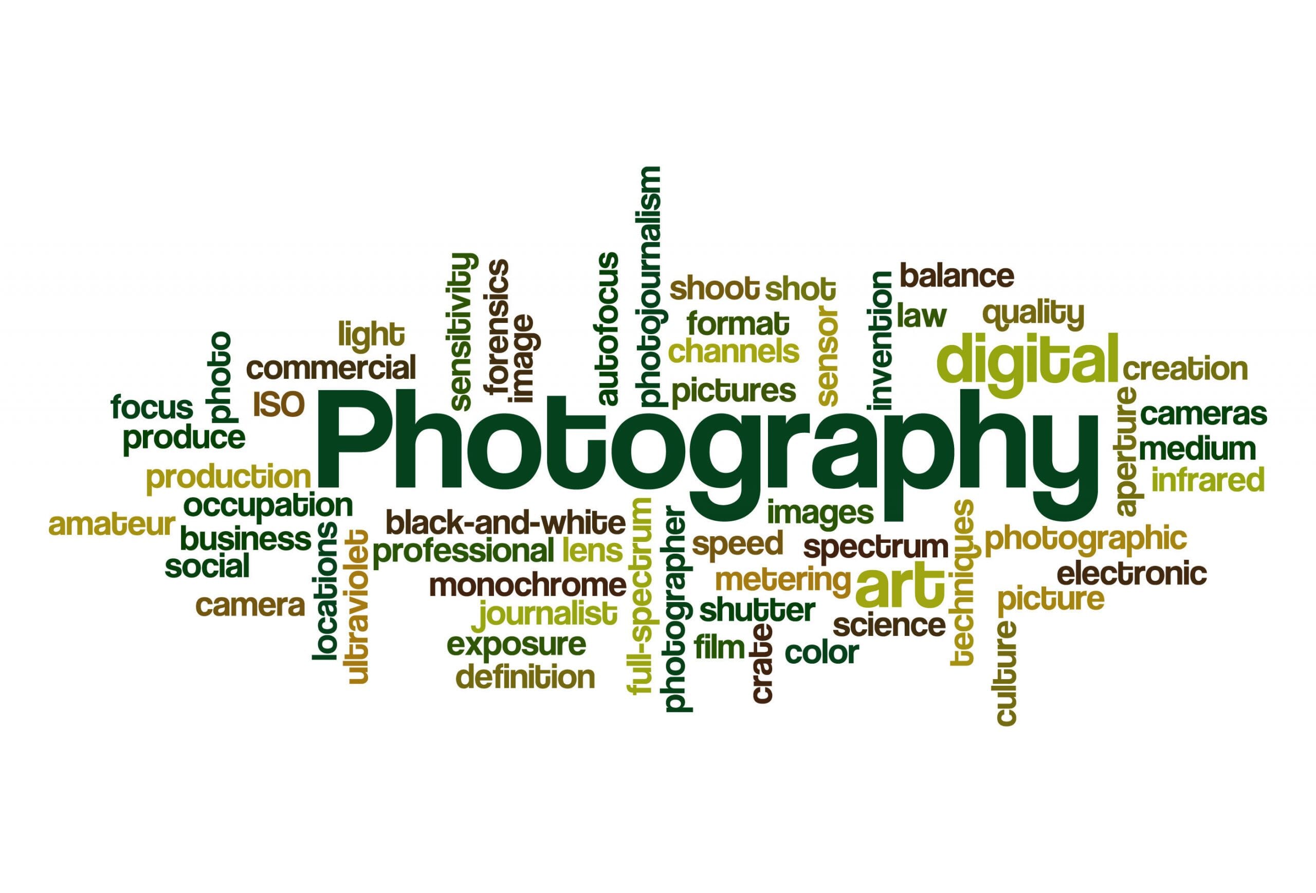 research article about photography