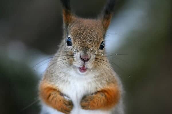 Hey maaaan! by Tomi Tapio K