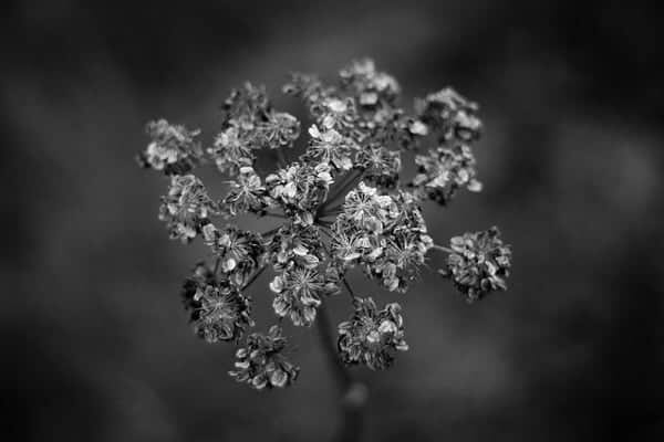 melancholy mood by Philipp Antar