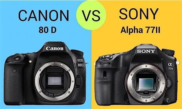 Canon 80d Vs Sony A77 Ii Both Great But Which Is Best Canon 80d Vs Sony A77 Ii Both Great But Which Is Best