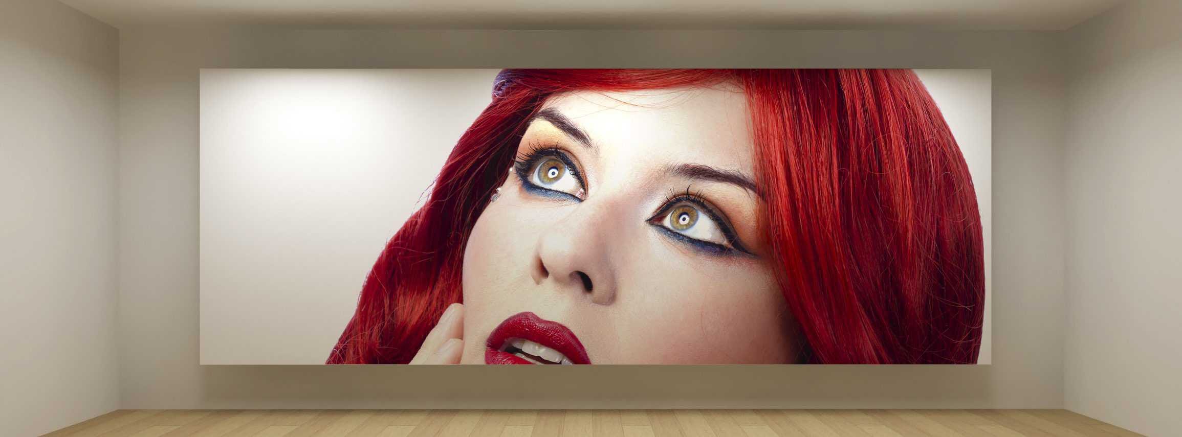 How to Digitize Images of Large Prints