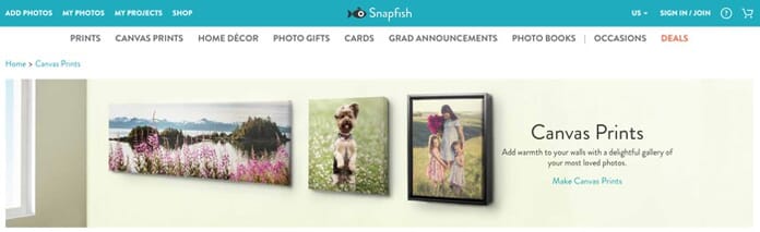 Snapfish.com Canvas Prints
