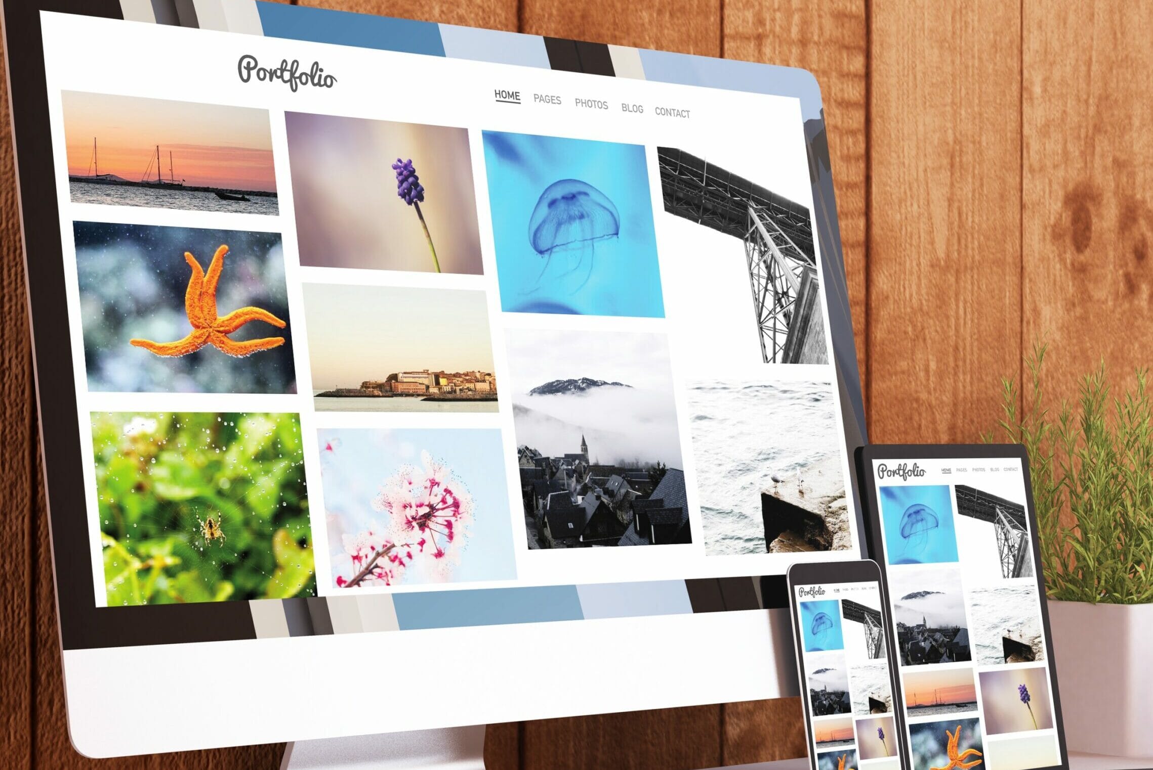 online website portfolio