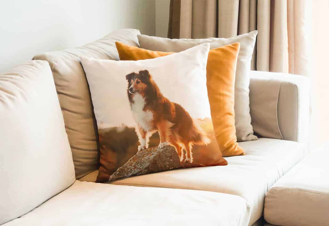 CanvasPop throw pillows sample