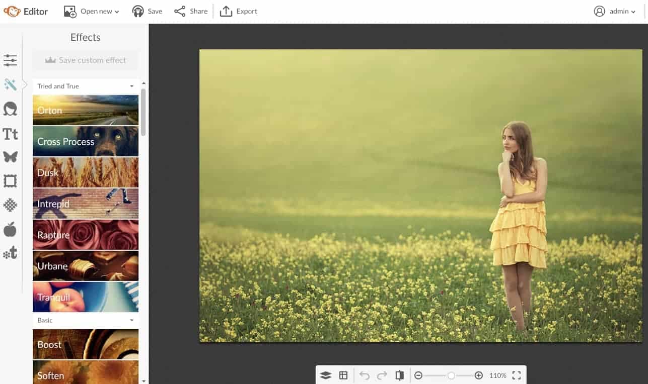 Picmonkey Online Photo Editor