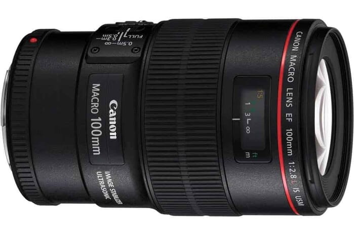 Canon EF 100mm f2.8L Macro IS USM Lens