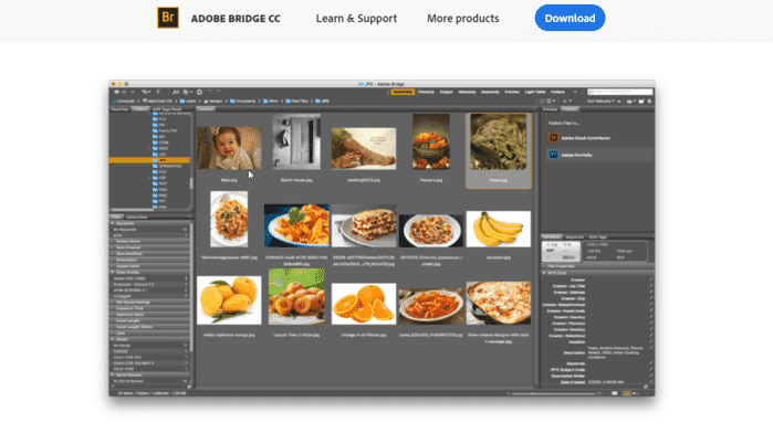 Adobe Bridge photo organization