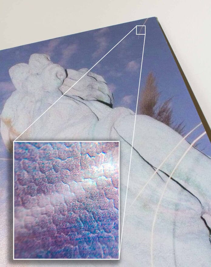 CanvasChamp Detailed View