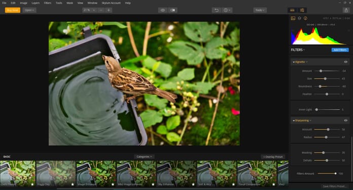 Luminar presets