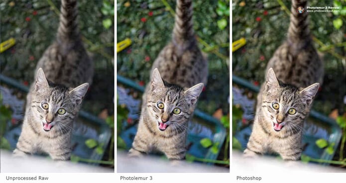 photolemur 3 review